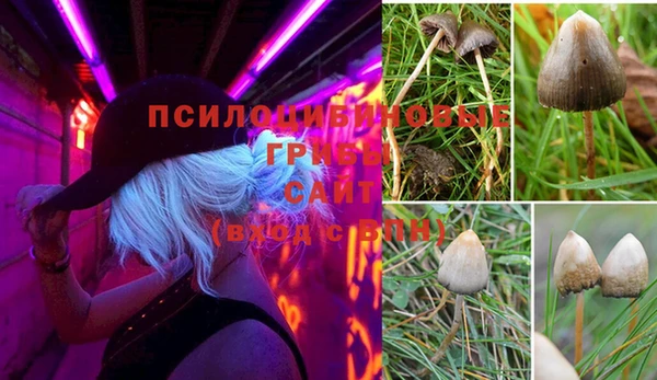 a pvp Зеленокумск