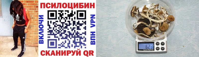 Купить  Тимашёвск  Псилоцибиновые грибы MAGIC MUSHROOMS 